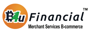 Financial Merchant Services logo